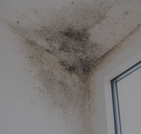 SERVICIO DE IMPERMEABILIZACIÓN EN ZAPOPAN